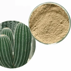 HTB1MwhRJpXXXXbtXpXX760XFXXXP-300x300-1-1-2