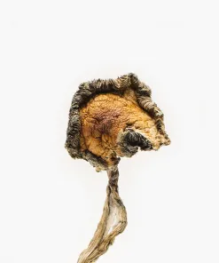 Origin-BlueMeanties3r-1-1