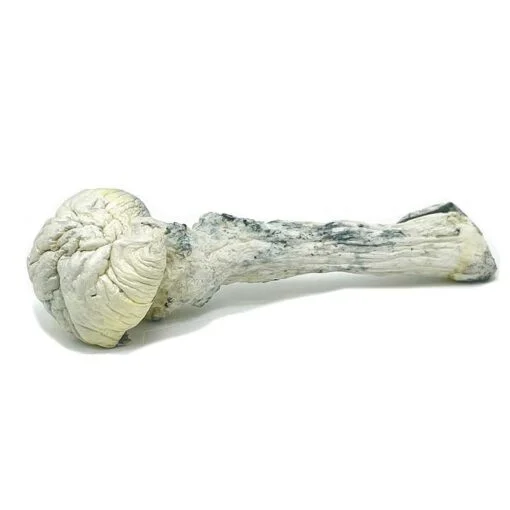 rustywhite-1-1-510x510-1